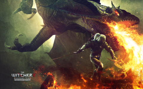 The-Witcher-2-Dragon-Fight-Wallpaper